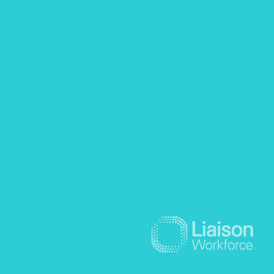 Liaison Group Workforce Management and Financial Services
